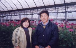 見事なスプレー菊と中井さんご夫妻